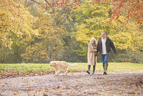 パートナーシップ2